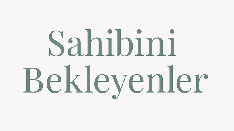 Sahibini Bekleyenler