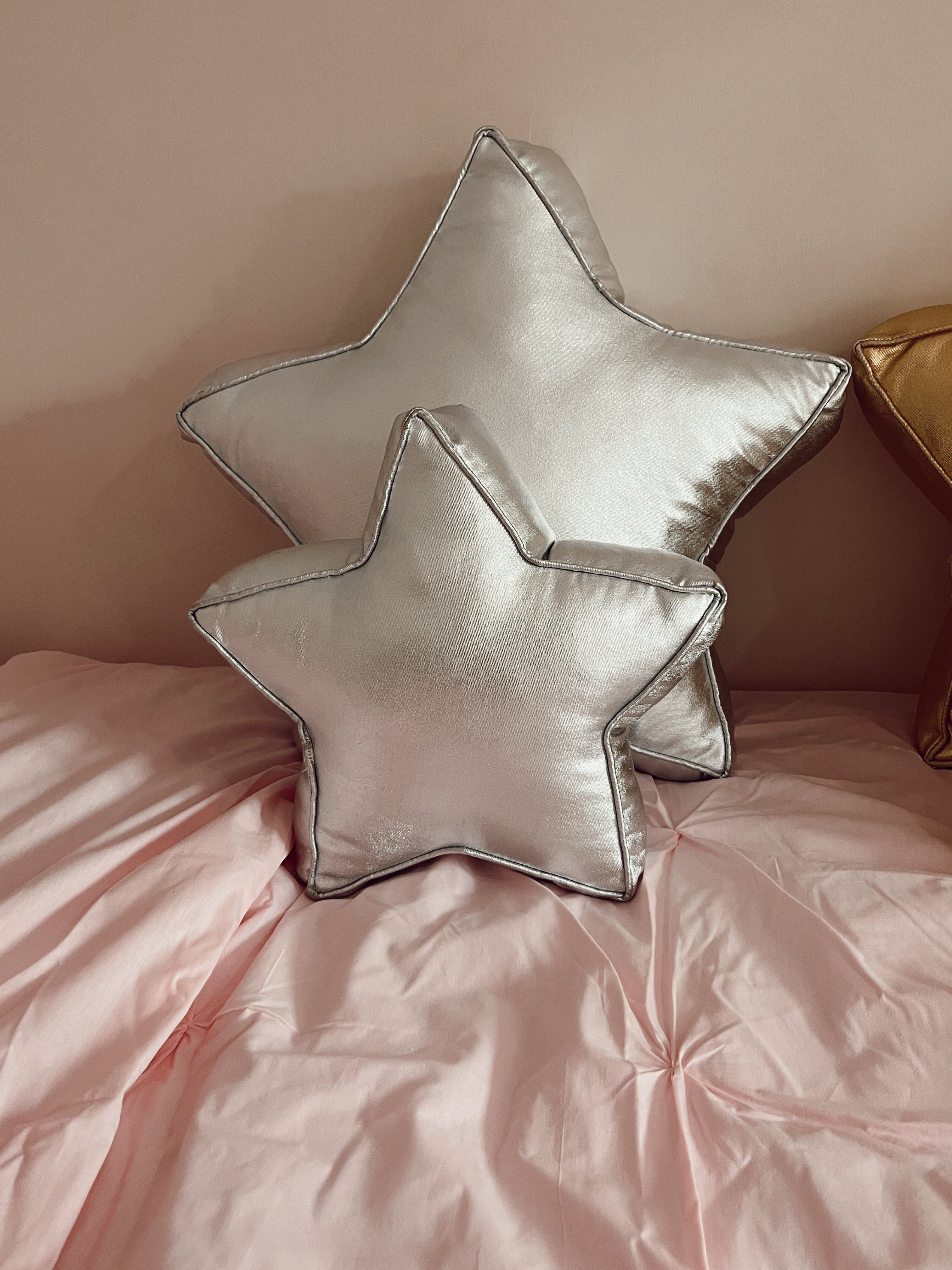 Lumière Star Silver Decorative Pillow
